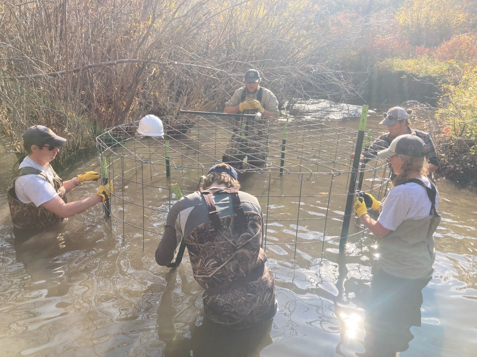 Beaver Mapping in Montana